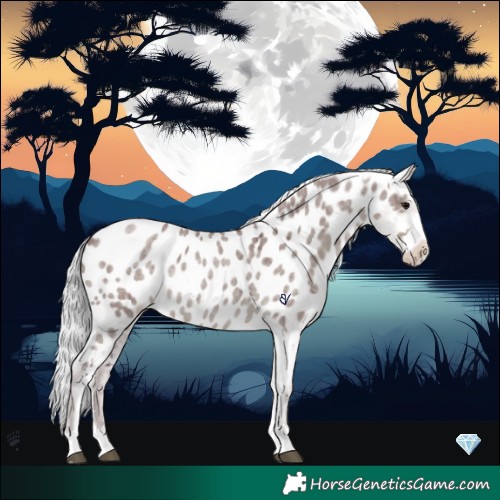 Horse Color:Platinum Chocolate Silver Smoky Grullo Roan Near Leopard