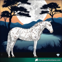Horse Color:Platinum Chocolate Silver Smoky Grullo Roan Near Leopard 