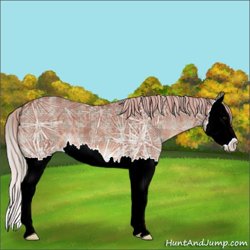Horse Color:Plaid  Chocolate Silver Brown Ice Sabino Splash Appaloosa 