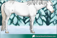Horse Color:Chocolate Palomino Ice Roan Splash Frame Varnish 