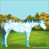 Horse Color:Thunderstruck Plaid  White Spotted Brown Chinchilla Onyx Sabino Splash Frame 