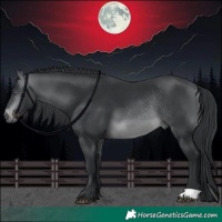 Horse Color:Brown Chinchilla Rabicano 