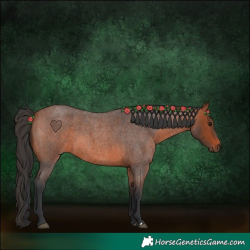 Horse Color:Bay Roan