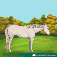 Horse Color:Smoky Creme