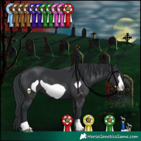 Horse Color:Black Frame 