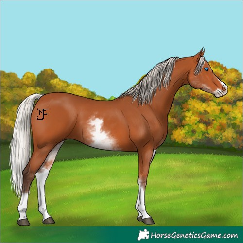 Horse Color:White Spotted Silver Bay Splash 
