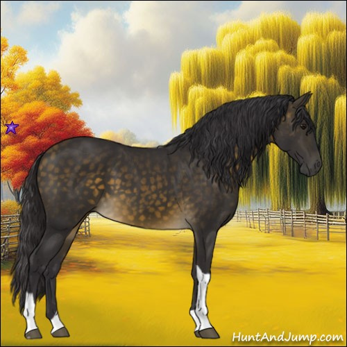 Horse Color:Buckskin Tobiano 