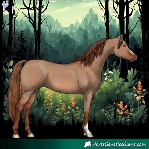Horse Color:Red Dun 