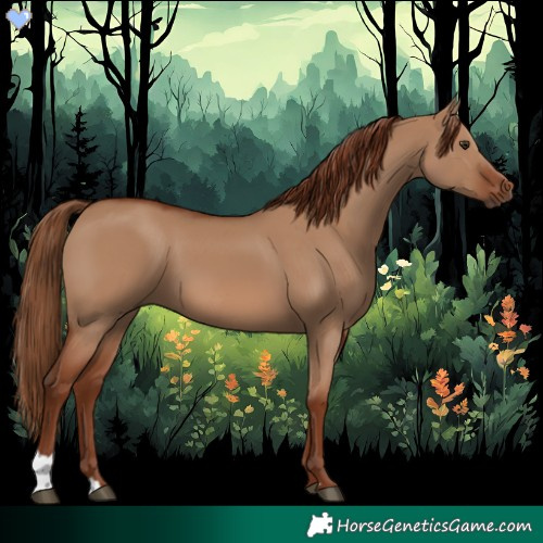 Horse Color:Red Dun