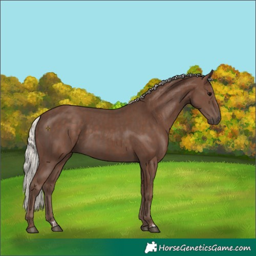 Horse Color:Silver Black and Silver Black