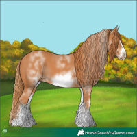 Horse Color:White Spotted Chestnut Sabino Frame