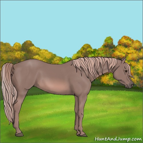 Horse Color:Platinum Chestnut 