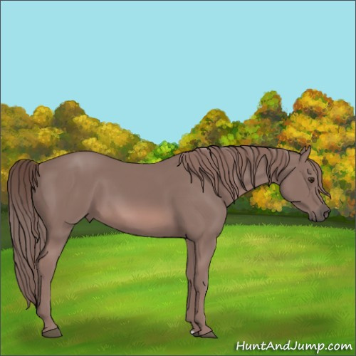 Horse Color:Platinum Chestnut