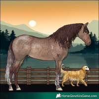 Horse Color:Chocolate Brown Dun Tobiano 