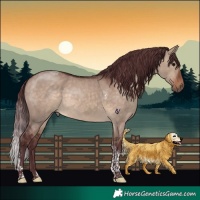 Horse Color:Chocolate Brown Dun Tobiano 