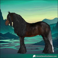 Horse Color:Gray Void Brown Roan Rabicano