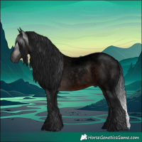 Horse Color:Gray Void Brown Roan Rabicano 