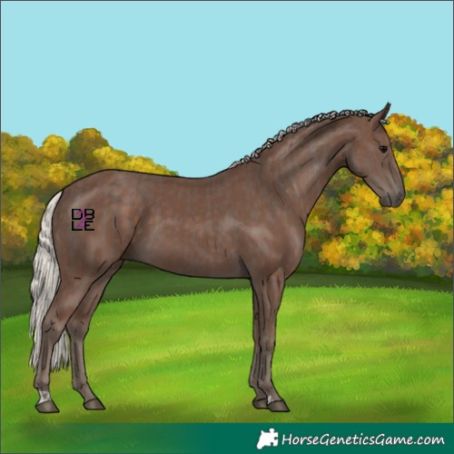 Horse Color:Silver Black and Silver Black