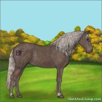 Horse Color:Silver Black and Silver Black