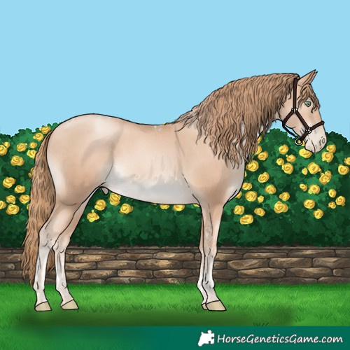 Horse Color:Gold Champagne Pearl Tobiano Rabicano  and Gold Champagne Pearl Tobiano Rabicano 