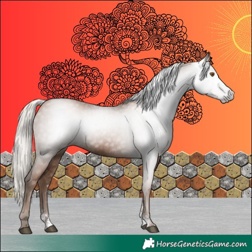 Horse Color:Gray Silver Black Pearl Sabino 