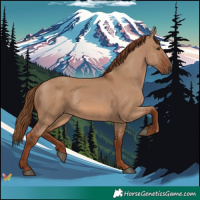 Horse Color:Red Dun