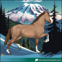 Horse Color:Red Dun 