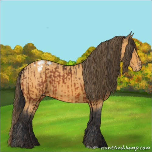 Horse Color:Bay Varnish  and Buckskin Varnish 
