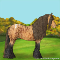 Horse Color:Bay Varnish  and Buckskin Varnish 
