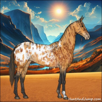 Horse Color:Bay Appaloosa  and Buckskin Appaloosa 