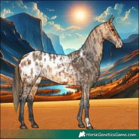 Horse Color:Bay Blanket  and Buckskin Blanket 