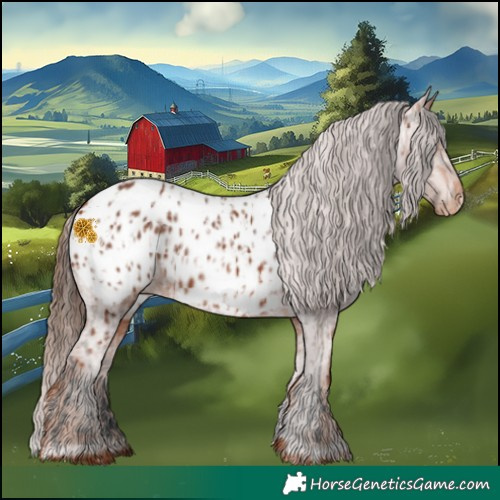 Horse Color:Bay Appaloosa  and Chestnut Appaloosa 