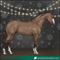 Horse Color:Liver Red Dun 