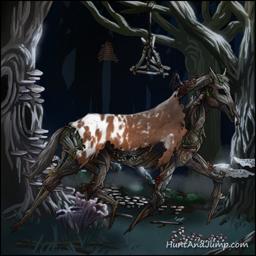Horse Color:Bay Appaloosa  and Bay Appaloosa 