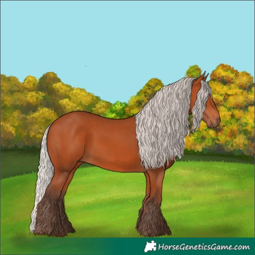 Horse Color:Silver Bay 