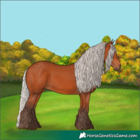 Horse Color:Silver Bay 
