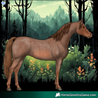 Horse Color:Red Roan 