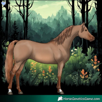 Horse Color:Red Dun