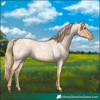 Horse Color:Red Roan  and Gold Champagne Roan 
