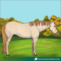 Horse Color:Red Dun 