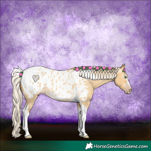 Horse Color:Gray Silver Amber Cream Champagne Roan Dun Splash Tobiano Frame Appaloosa Rabicano 