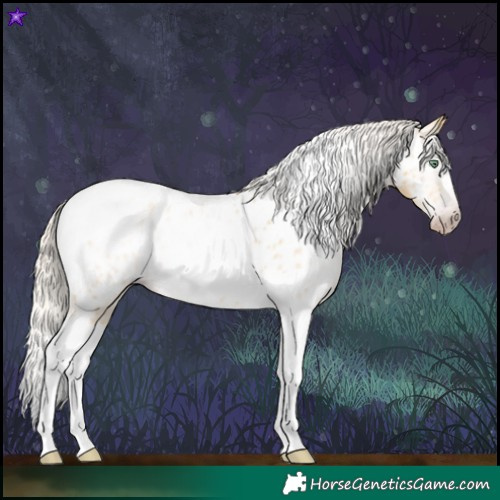 Horse Color:Gray Silver Amber Cream Champagne Roan Dun Splash Tobiano Frame Near Leopard Rabicano 