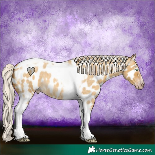 Horse Color:Gray Silver Amber Cream Champagne Roan Dun Splash Tobiano Frame Appaloosa Rabicano 