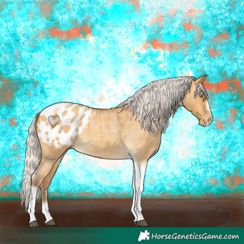 Horse Color:Gray Silver Amber Cream Champagne Roan Dun Splash Tobiano Frame Appaloosa Rabicano 