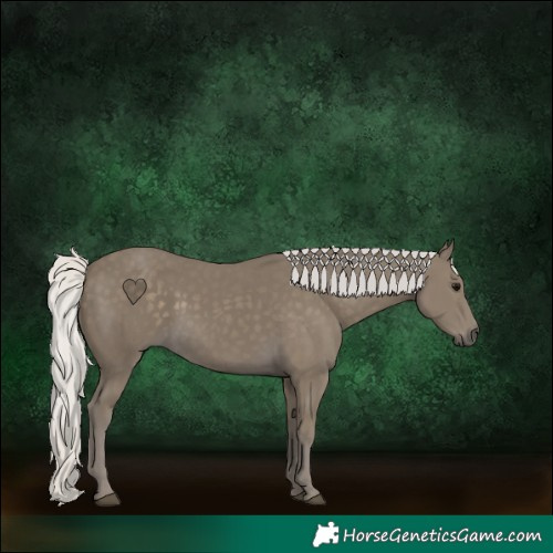 Horse Color:Silver Smoky Black