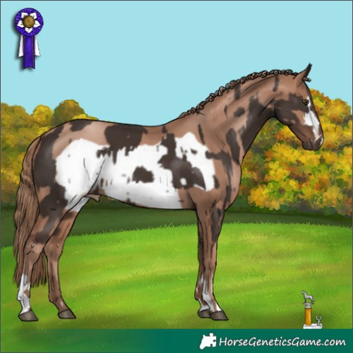 Horse Color:Liver Chestnut Mushroom  and Black Pearl Mushroom Frame 