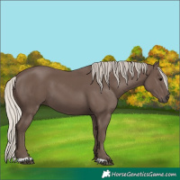 Horse Color:Silver Black 