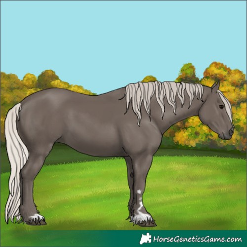 Horse Color:Silver Black 