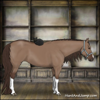 Horse Color:Liver Red Dun 