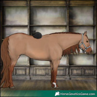 Horse Color:Red Dun 